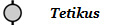 Tetikus